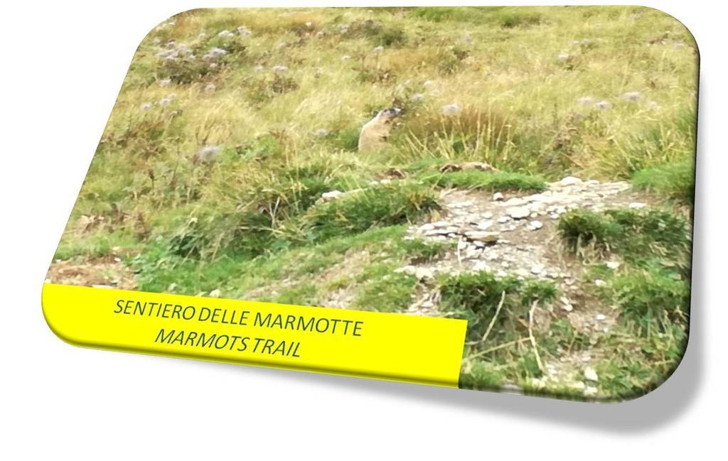 Marmot Apartment ディマーロ エクステリア 写真
